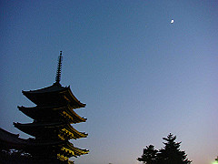 dsc00612_thumb.jpg