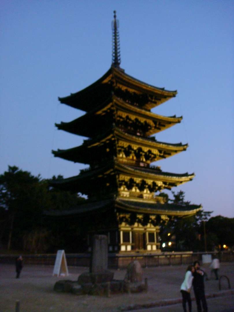 dsc00614.jpg