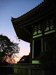 dsc00618_thumb.jpg