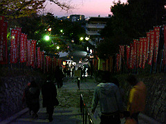 dsc00619_thumb.jpg