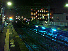 dsc00629_thumb.jpg