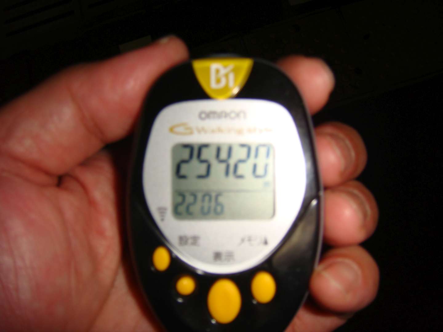 dsc00631.jpg