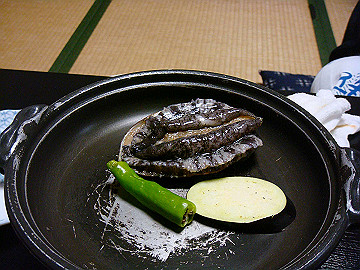dsc00673_thumb.jpg
