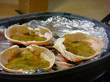 dsc00690_thumb.jpg