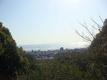 dsc00788_thumb.jpg