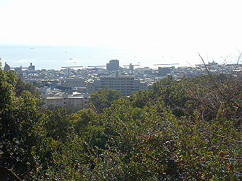 dsc00789_thumb.jpg