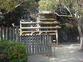 dsc00790_thumb.jpg