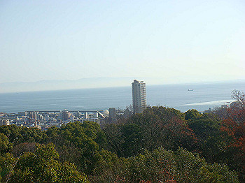 dsc00792_thumb.jpg