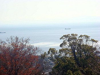 dsc00794_thumb.jpg