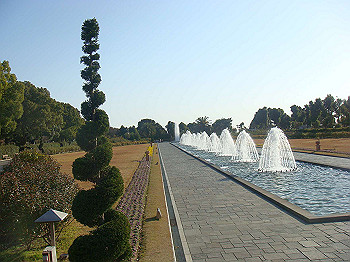 dsc00815_thumb.jpg