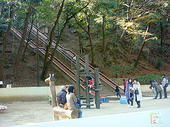 dsc00831_thumb.jpg