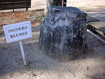 dsc00832_thumb.jpg