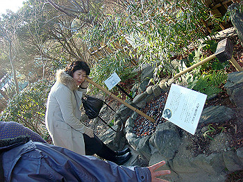dsc00834_thumb.jpg