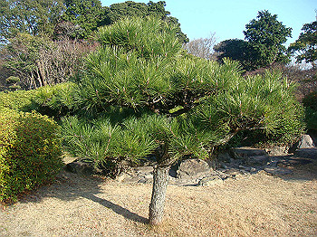 dsc00838_thumb.jpg