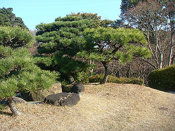 dsc00839_thumb.jpg