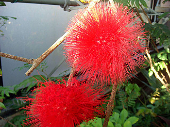 dsc00845_thumb.jpg