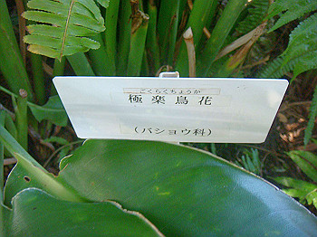 dsc00850_thumb.jpg
