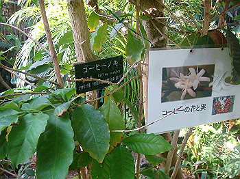 dsc00853_thumb.jpg