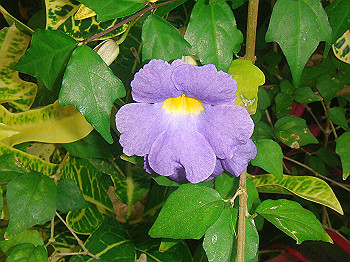 dsc00855_thumb.jpg
