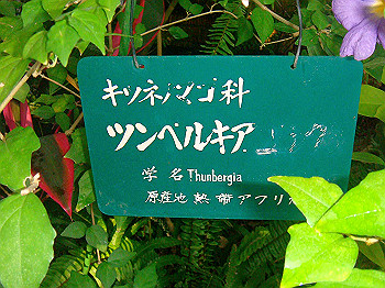 dsc00856_thumb.jpg
