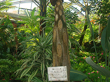 dsc00857_thumb.jpg