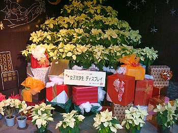 dsc00865_thumb.jpg