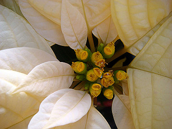 dsc00867_thumb.jpg