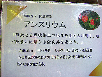 dsc00869_thumb.jpg