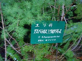 dsc00875_thumb.jpg