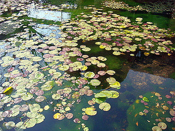 dsc00880_thumb.jpg