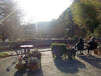 dsc00890_thumb.jpg