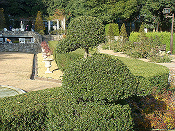 dsc00893_thumb.jpg