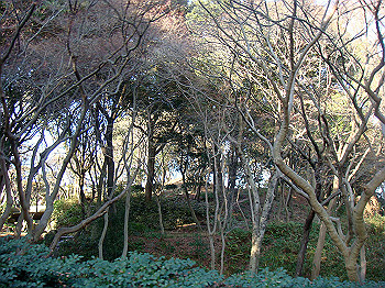dsc00898_thumb.jpg