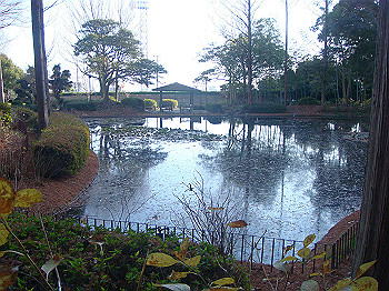dsc00899_thumb.jpg