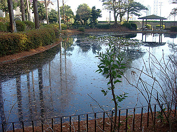 dsc00900_thumb.jpg
