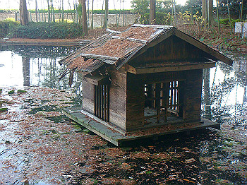 dsc00902_thumb.jpg