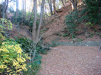 dsc00903_thumb.jpg