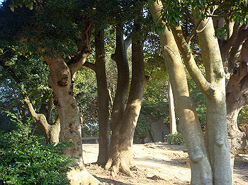 dsc00907_thumb.jpg