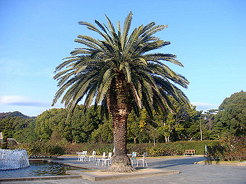 dsc00911_thumb.jpg