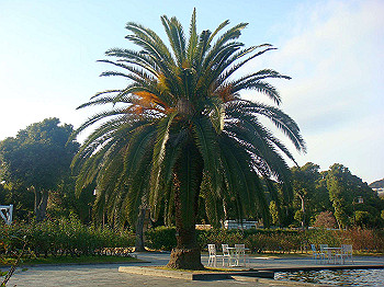 dsc00912_thumb.jpg