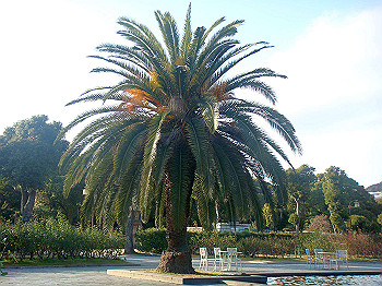 dsc00914_thumb.jpg
