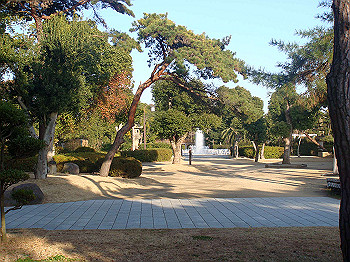 dsc00925_thumb.jpg