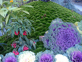 dsc00930_thumb.jpg