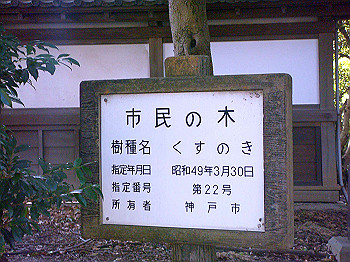 dsc00937_thumb.jpg