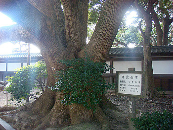 dsc00938_thumb.jpg