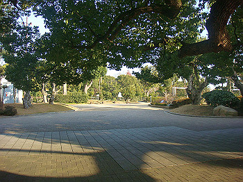 dsc00940_thumb.jpg