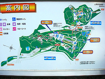 dsc00946_thumb.jpg