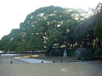 dsc00947_thumb.jpg
