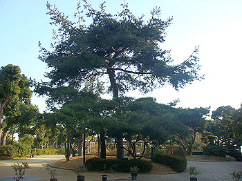 dsc00948_thumb.jpg