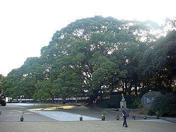 dsc00949_thumb.jpg